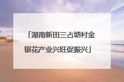 湖南新田三占塘村金银花产业兴旺促振兴
