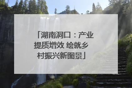 湖南洞口：产业提质增效 绘就乡村振兴新图景