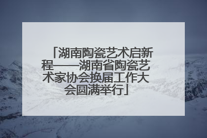 湖南陶瓷艺术启新程——湖南省陶瓷艺术家协会换届工作大会圆满举行