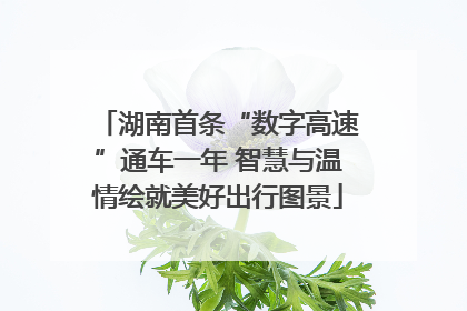 湖南首条“数字高速”通车一年 智慧与温情绘就美好出行图景