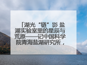 湖光“链”影 盐湖实验室里的星辰与荒原——记中国科学院青海盐湖研究所，盐湖资源化学实验室党总支书记、副主任刘忠
