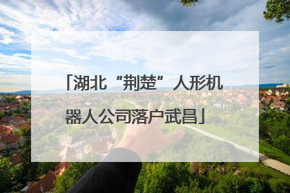 湖北“荆楚”人形机器人公司落户武昌