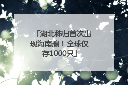 湖北秭归首次出现海南鳽！全球仅存1000只