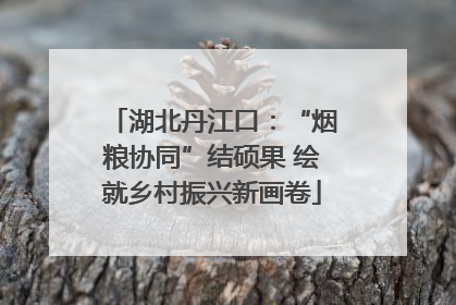 湖北丹江口：“烟粮协同”结硕果 绘就乡村振兴新画卷