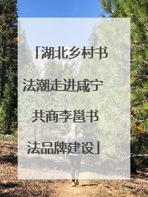 湖北乡村书法潮走进咸宁 共商李邕书法品牌建设