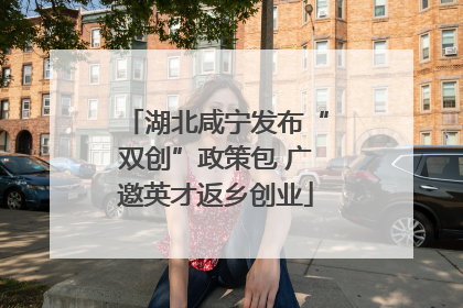 湖北咸宁发布“双创”政策包 广邀英才返乡创业