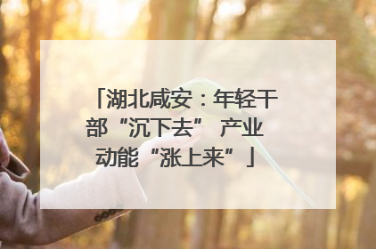 湖北咸安：年轻干部“沉下去” 产业动能“涨上来”