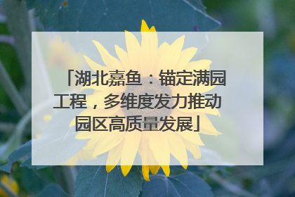 湖北嘉鱼：锚定满园工程，多维度发力推动园区高质量发展