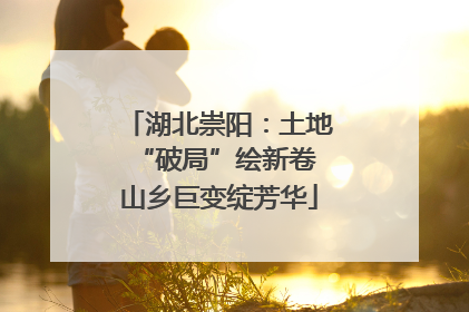 湖北崇阳：土地“破局”绘新卷 山乡巨变绽芳华