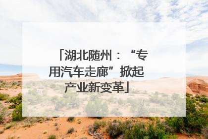 湖北随州：“专用汽车走廊”掀起产业新变革
