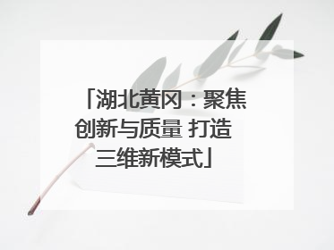 湖北黄冈：聚焦创新与质量 打造三维新模式