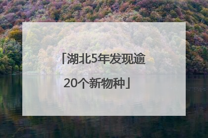 湖北5年发现逾20个新物种