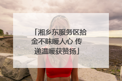 湘乡东服务区拾金不昧暖人心 传递温暖获赞扬