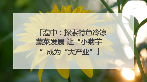 湟中：探索特色冷凉蔬菜发展 让“小菊芋”成为“大产业”