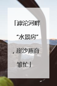 滹沱河畔“水景房”，崖沙燕育雏忙
