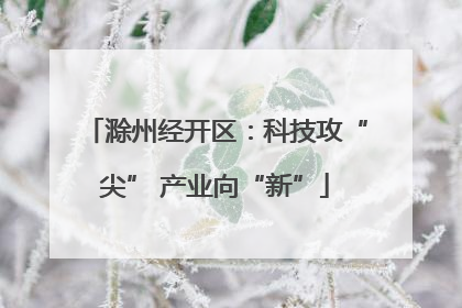 滁州经开区：科技攻“尖” 产业向“新”