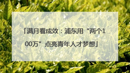 满月看成效：浦东用“两个100万”点亮青年人才梦想
