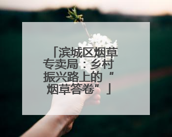 滨城区烟草专卖局：乡村振兴路上的“烟草答卷”