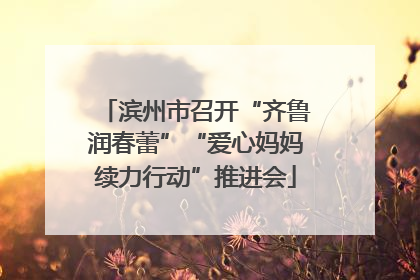 滨州市召开“齐鲁润春蕾”“爱心妈妈续力行动”推进会