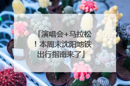 演唱会+马拉松！本周末沈阳地铁出行指南来了
