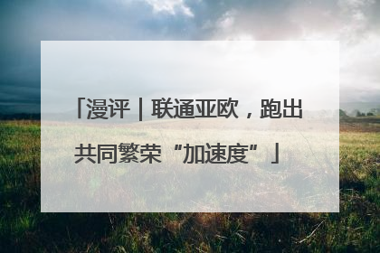 漫评｜联通亚欧，跑出共同繁荣“加速度”