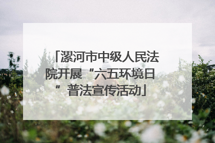 漯河市中级人民法院开展“六五环境日”普法宣传活动