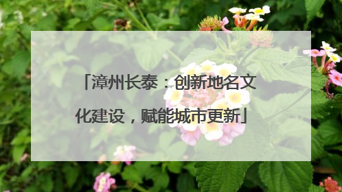 漳州长泰：创新地名文化建设，赋能城市更新