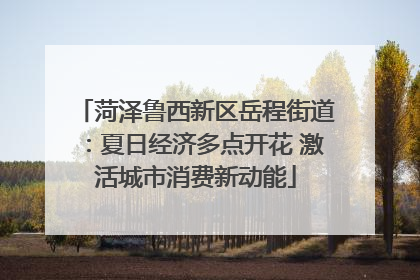 菏泽鲁西新区岳程街道：夏日经济多点开花 激活城市消费新动能