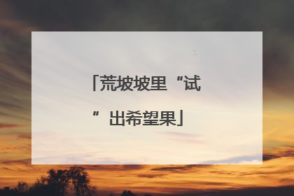 荒坡坡里“试”出希望果