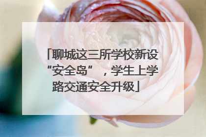 聊城这三所学校新设“安全岛”，学生上学路交通安全升级