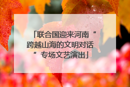 联合国迎来河南“跨越山海的文明对话”专场文艺演出