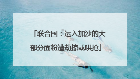 联合国：运入加沙的大部分面粉遭劫掠或哄抢