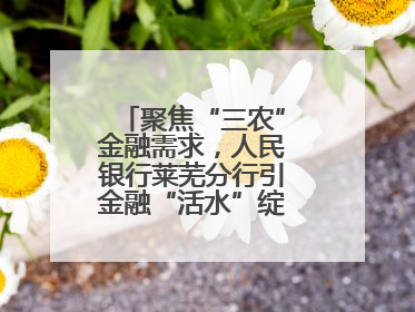 聚焦“三农”金融需求，人民银行莱芜分行引金融“活水”绽乡村振兴之花