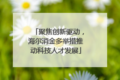 聚焦创新驱动，海尔消金多举措推动科技人才发展