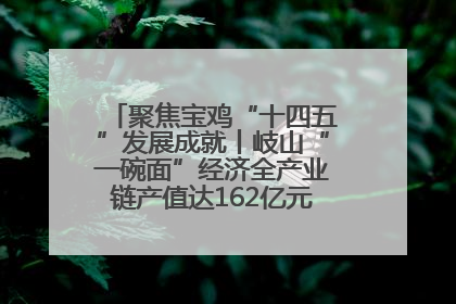 聚焦宝鸡“十四五”发展成就丨岐山“一碗面”经济全产业链产值达162亿元 入选全国典型县
