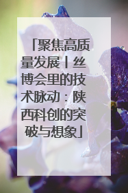聚焦高质量发展丨丝博会里的技术脉动：陕西科创的突破与想象