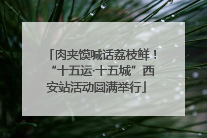 肉夹馍喊话荔枝鲜！“十五运·十五城”西安站活动圆满举行
