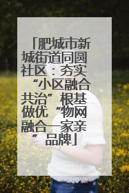 肥城市新城街道同圆社区：夯实“小区融合共治”根基做优“物网融合一家亲”品牌