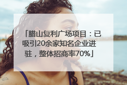 腊山复利广场项目：已吸引20余家知名企业进驻，整体招商率70%