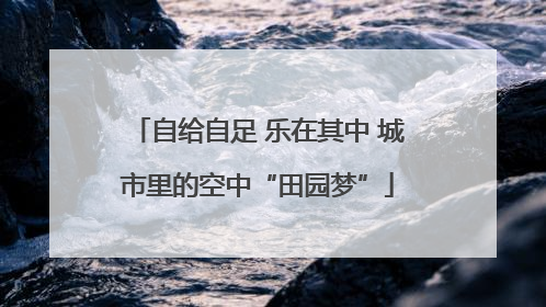 自给自足 乐在其中 城市里的空中“田园梦”