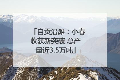 自贡沿滩：小春收获新突破 总产量近3.5万吨