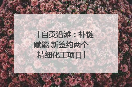 自贡沿滩：补链赋能 新签约两个精细化工项目