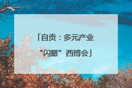 自贡：多元产业“闪耀”西博会