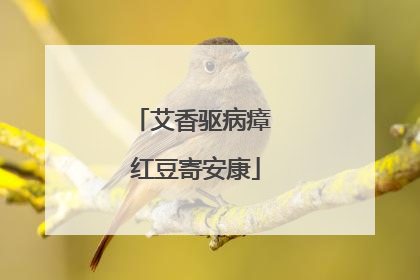 艾香驱病瘴 红豆寄安康