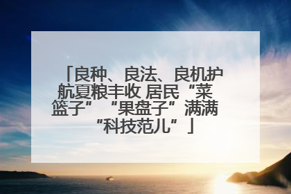 良种、良法、良机护航夏粮丰收 居民“菜篮子”“果盘子”满满“科技范儿”