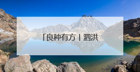 良种有方丨泗洪大地“种”出美妙，铺就农业发展金光大“稻”！