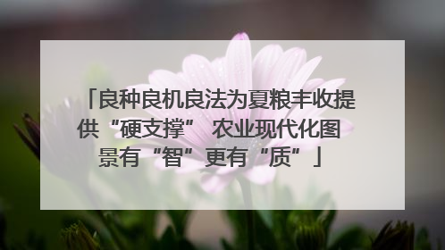 良种良机良法为夏粮丰收提供“硬支撑” 农业现代化图景有“智”更有“质”