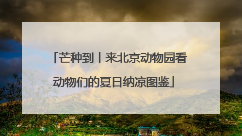 芒种到丨来北京动物园看动物们的夏日纳凉图鉴