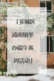 芗城区浦南镇举办端午系列活动
