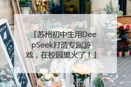 苏州初中生用DeepSeek打造专属游戏，在校园里火了！